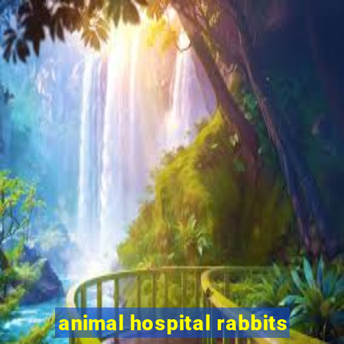 animal hospital rabbits